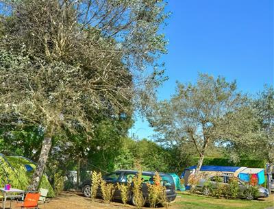 emplacements arborés Camping La Roseraie La Baule 44 Loire Atlantique presqu'ilebaie La Baule plage camping car caravane tente détente calme espace conviviale relaxation 