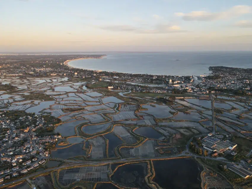 Accueil 44 labaule