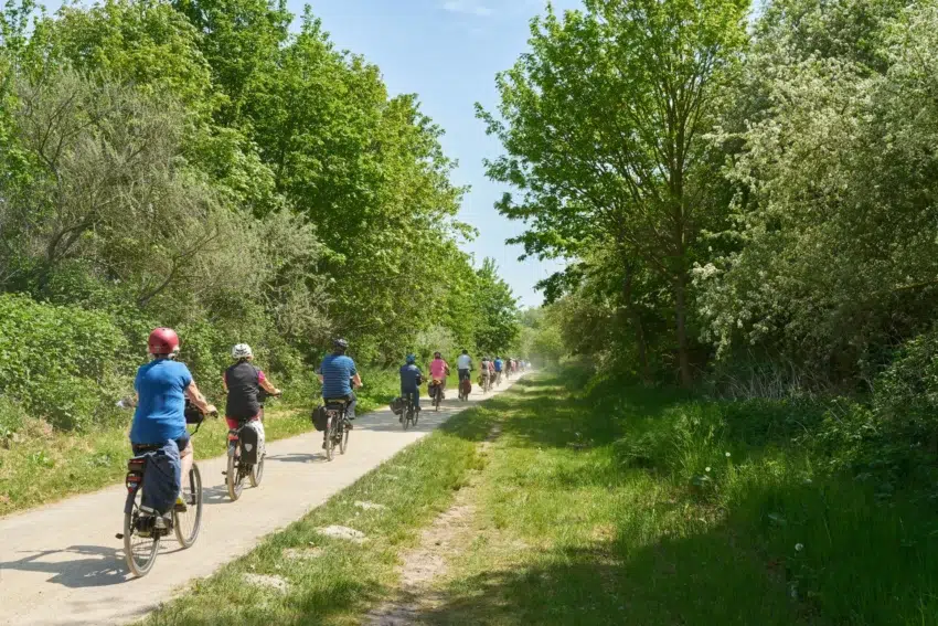 La Baule 4 velo foret