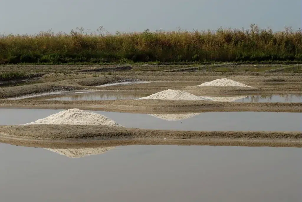 marais salant