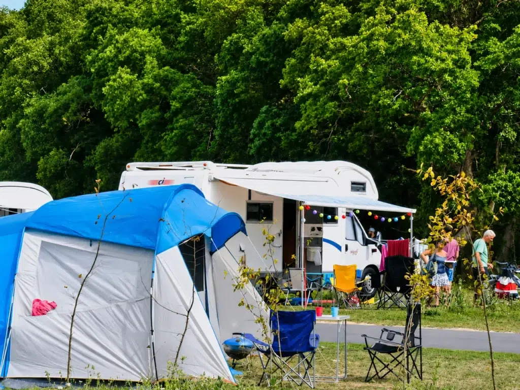 roseraie 8 1